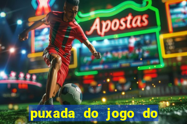 puxada do jogo do bicho da sueli